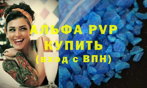 стаф Ельня