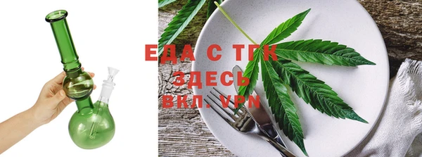 стаф Ельня