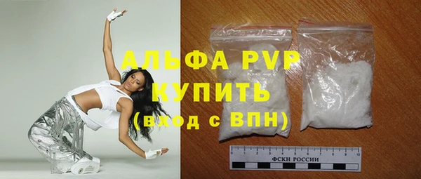 стаф Ельня