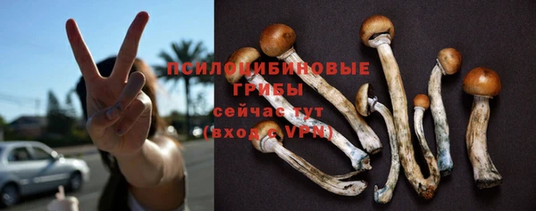 крисы Шарыпово