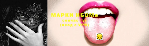 стаф Ельня