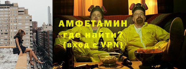 стаф Ельня