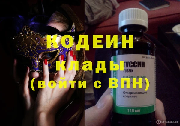 стаф Ельня
