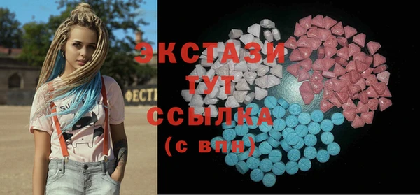 стаф Ельня