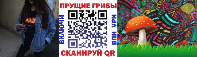 Галлюциногенные грибы Magic Shrooms  купить наркотики сайты  Южно-Сухокумск 